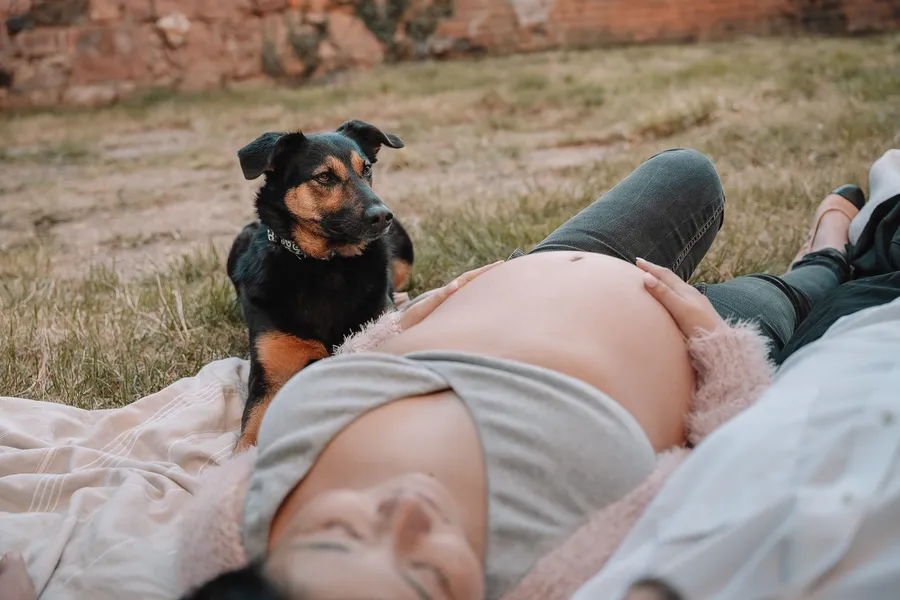 Babybauch – Foto