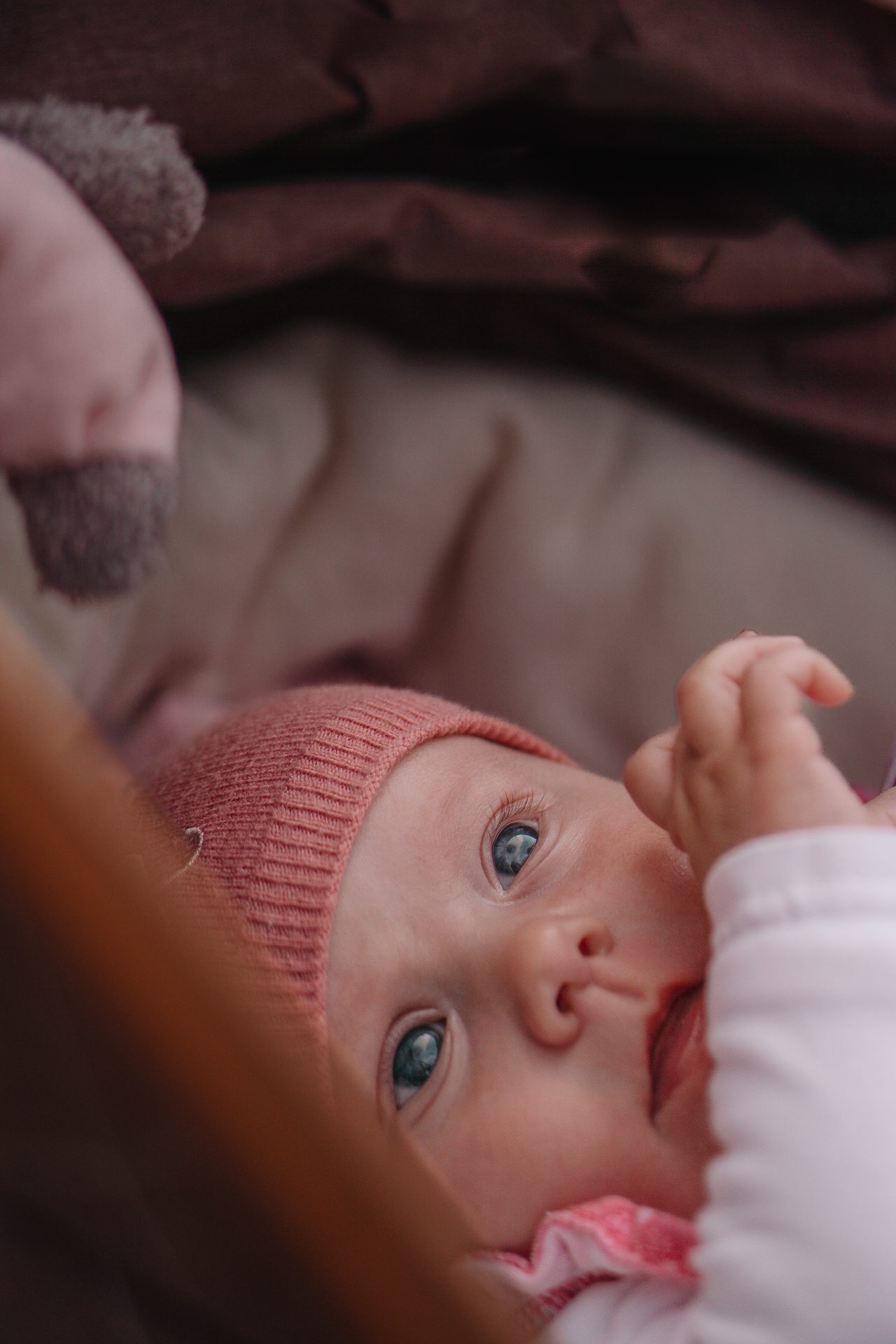 Newborn – Foto