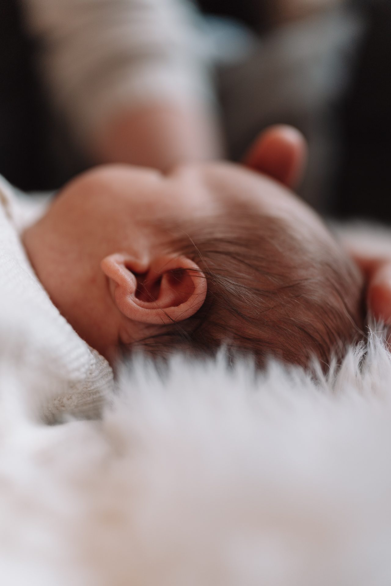 Newborn – Foto