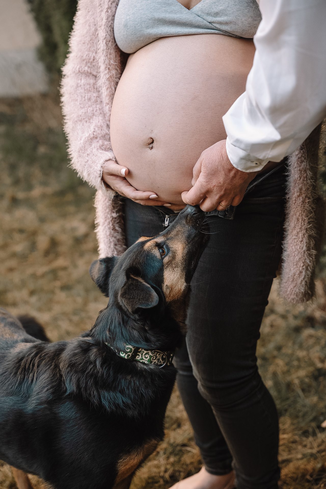 Babybauch – Foto