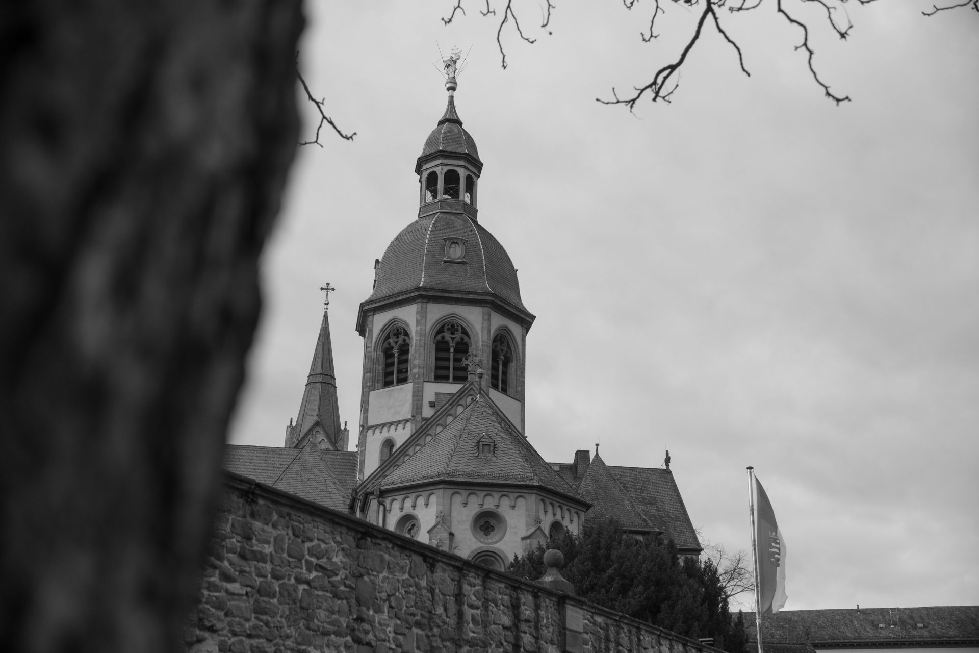 MiNi Photography – Fragen & Antworten